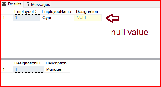 Picture showing the output of Inserting data in view in SQL server